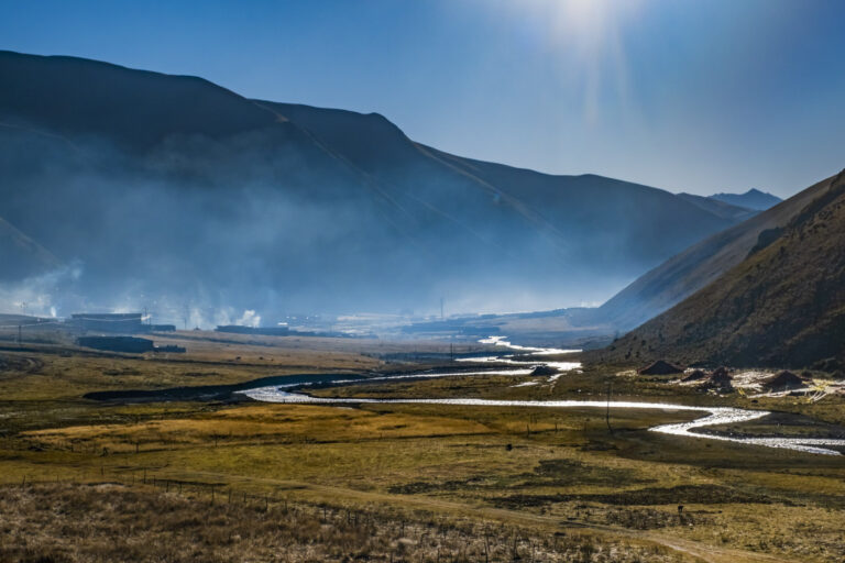 Wang Wenwei - Morning-of-highland-pasture